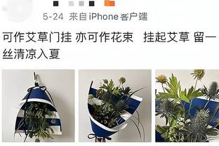 小手一抖！东契奇抛出超高弧线 赛前热身杂耍三分空心落袋